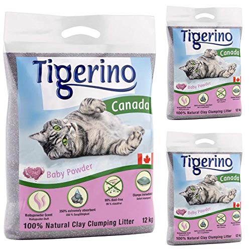 Tigerino Canada Katzenstreu klumpend Babypuderduft 3x 12kg parfÃ¼miert antibakteriell Einweg  und hypoallergenes Hygienestreu Geruchskontrolle