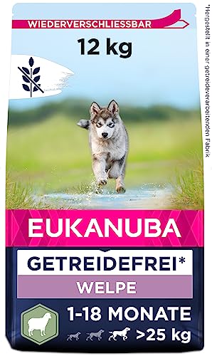 Eukanuba Welpenfutter getreidefrei mit Lamm für große Rassen - Trockenfutter ohne Getreide für Junior Hunde 12 kg