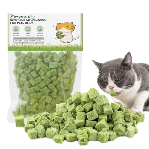 Katzengras Snack 120g Gefriergetrocknet Snacks für Katzen für die Zahnpflege und Haarknäuel Entfernen Katzenminze