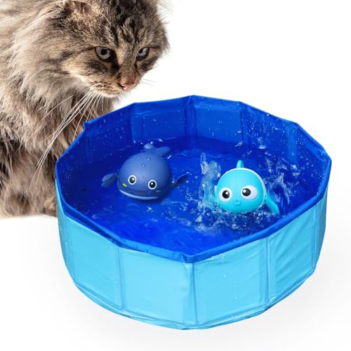 Katzenpool Mit Spielzeug Faltbarer Katzen Pool Mitkatzenpoolspielzeug Mit Fisch Kommt Mit 2 Interaktiven Fischspielzeugen Ideal FüR Gelangweilte Wohnungskatzen Interaktives Spiel