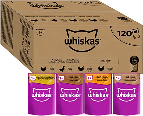 Whiskas Adult 1 Katzennassfutter Geflügel Auswahl in Gelee 120 Portionsbeutel 120x85g 1 Großpackung Hochwertiges Katzenfutter nass für ausgewachsene Katzen