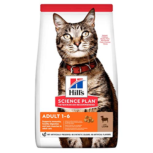 Hill s Pet Nutrition Sp Feline Adult Lamb Rice 7000 g