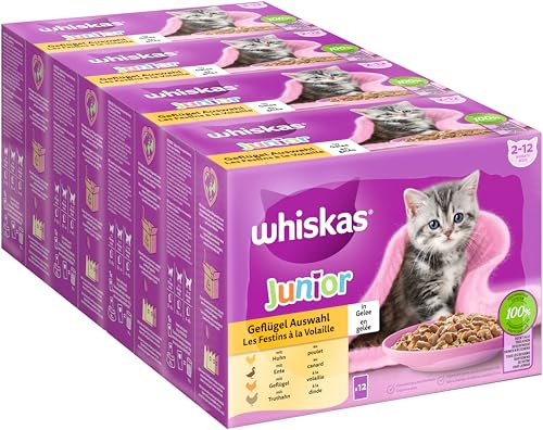 WHISKAS Junior Nassfutter Portionsbeutel Multipack Geflügelauswahl in Gelee 12 x 85g