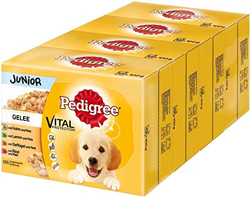 Pedigree Vital Protection Hundenassfutter für Welpen im Beutel Hundefutter in Gelee mit Huhn Lamm Geflügel Rind Reis 48 x 100g Großpackung