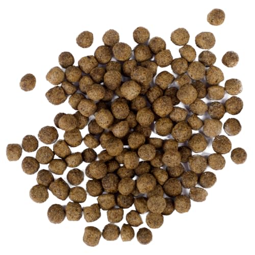 All Season Koifutter 6mm   schwimmendes Ganzjahres für und Teichfische für ausgewogene Fisch Ernährung mit Fischöl Astaxanthin 13 5 kg