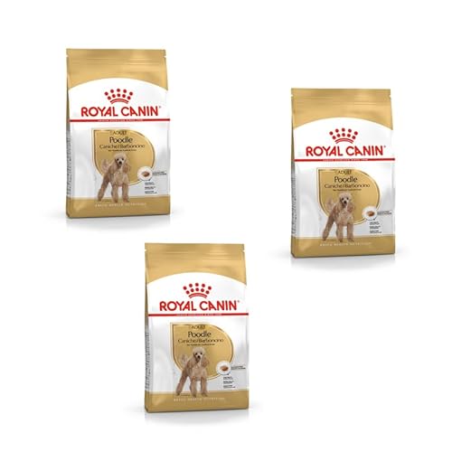 Royal Canin Poodle Adult 3er Pack 3 x 500 g Trockenfutter für ausgewachsene Pudel Zur Unterstützung des Fells und des Muskeltonus Für Hunde ab dem 10. Lebensmonat