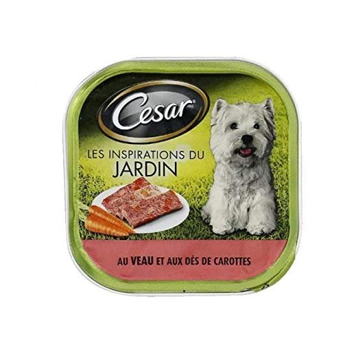 CESAR Barquette en terrine au veau et aux carottes - Pour chien adulte - 300 g x20