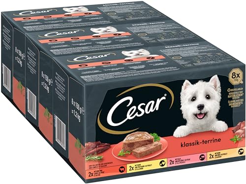 Cesar Hundefutter Nassfutter Klassiker Selektion Terrines en Duo 24 Schalen 3 x 8 x 150g