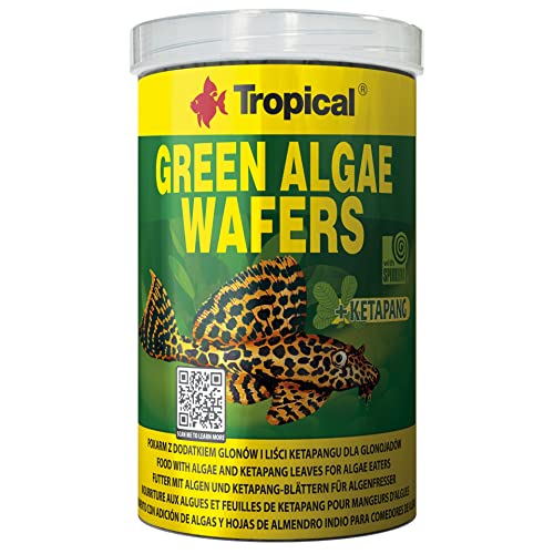 Tropical Green Algae Wafers Welschips 1er Pack 1 x 1 l