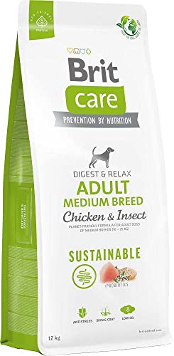  Sustainable Medium Breed Chicken Insect    