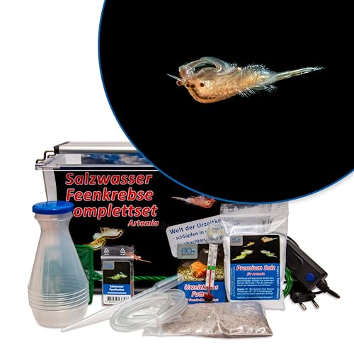 AQ4Aquaristik Premium Salzwasser Feenkrebse Artemia Komplettset 6 Liter Zuchtansatz LED-Beleuchtung Premiumsalz Futter Anleitung- Urzeitkrebse Artemia parthenogenetica