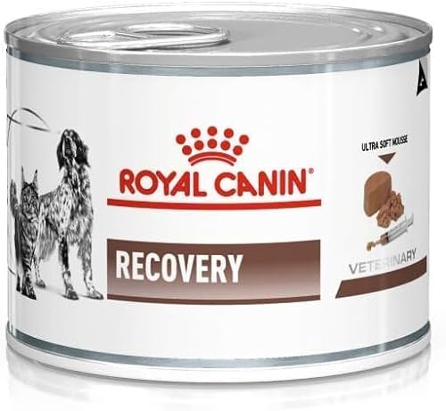Royal Canin Veterinary Recovery 12 x 195 g Diät-Alleinfuttermittel für ausgewachsene Hunde und ausgewachsene Katzen Ultra Soft Mousse mit einem hohen Proteingehalt