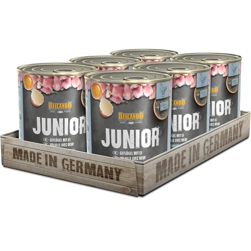 BELCANDO Nassfutter für Hunde Junior Geflügel mit Ei 6X 800g Dose Hundefutter nass für alle Rassen Made in Germany