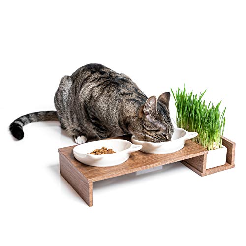 CanadianCat Company Katzennapf erhöht Futternapf Katze Cat Diner mit DREI Keramik Näpfen 14 5 cm Fressnapf Futterschale Futterstation in Walnuss-Optik