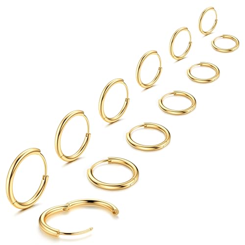 MILACOLATO 6Paare Creolen Ohrringe für Damen Herren Silber Gold Chirurgenstahl Knorpel Huggie Ohrringe Lobe Helix Piercing Ring Sleeper Hinged Creolen Ohrringe Set 10 12 14 16 18 20mm