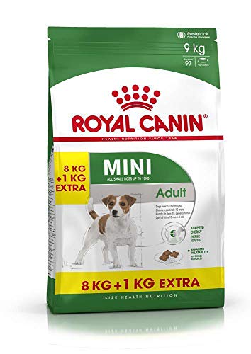 Royal Canin Hundefutter Mini Adult 8 1 kg gratis 1er Pack 1 x 9 kg