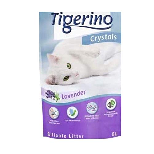 Tigerino Crystals Lavender Katzenstreu Super Pack 6x 5 Liter Silikatstreu frischem Lavendelduft Umweltfreundlich Super SaugfÃ¤hige Streu Connect 2in1 Katzentunnel