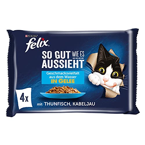  mit Thunfisch Kabeljau 12er 12x 4