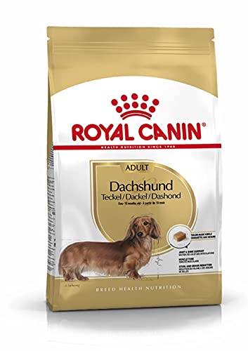 Royal Canin Dachshund 28 Adult Hundefutter 7.5 kg 1er Pack 1 x 7.5 kg