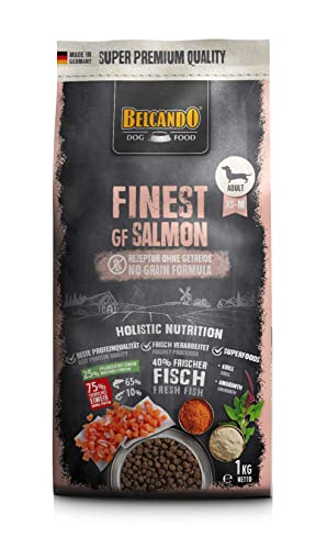 Belcando Finest GF Salmon 1 kg getreidefreies Hundefutter Trockenfutter für kleine mittlere Hunde Alleinfuttermittel für Hunde ab 1 Jahr