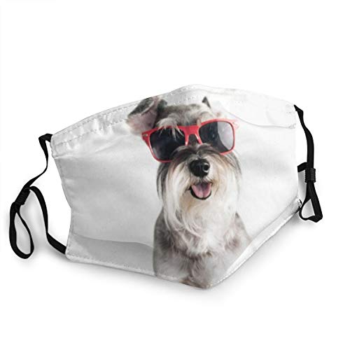New design Happy Funny Cool Dog Schnauzer mit roter Sonnenbrille isoliert auf weißem Hintergrund für Frauen Gesichtsmaske wiederverwendbar waschbar waschbar Gesichtsmaske waschbar