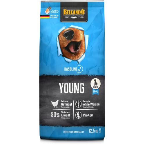 BELCANDO Baseline Young 12 5kg Trockenfutter für Hunde Alleinfuttermittel für Junge Hunde mittlerer und großer Rassen