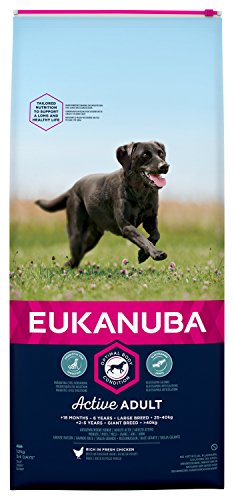 Eukanuba Hundefutter für große Hunde reich an frischem Huhn