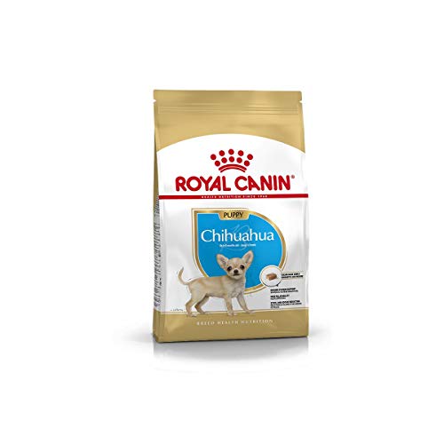 Royal Canin Chihuahua Puppy 500 g Alleinfuttermittel speziell für Chihuahua-Welpen Bis zum 8. Monat Kann zur Reduzierung von Stuhlgeruch beitragen