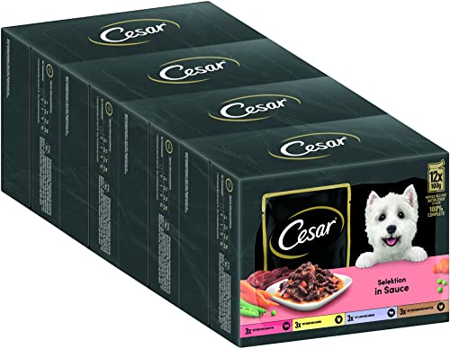 Cesar Adult Hundenassfutter Selektion in Sauce 48 Portionsbeutel 12x100g 4er Pack Ausgewogenes Premium Hundefutter nass Auswahl mit Rind Huhn Lamm und Truthahn