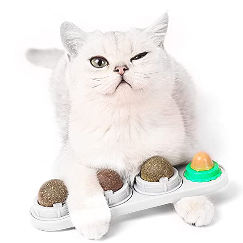 Fortune-star Katzenminze-Wandball Katzenspielzeug essbare Leckbälle Snack natürlich gesund drehbare Leckereien Spielzeuge Kätzchen Spielen Kauen Reinigung der Zähne