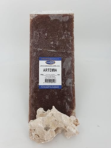 Frostfutter für Zierfische 1 STK. große 500g Tafel Verschiedene Sorten Freie Auswahl Versand mit Trockeneis Artemia 500 g Tafel