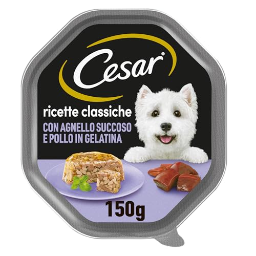 Cesar Klassische Rezepte Nassfutter für Hunde mit Lamm und Huhn 14 Schalen 150 g