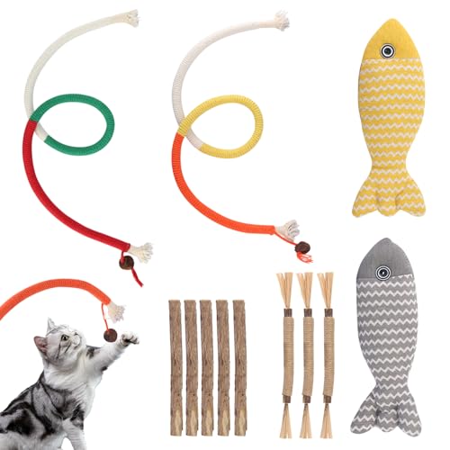 TIANCONGYUN 12 Katzenminze Katzenspielzeug Set Katzen Sticks Katzen Kaustangen Katzenspielzeug Beißseil mit Silvervine Obst Catnip Fisch Catnip Cat Toys Für Katzen zum Zahnpflege und Spielen