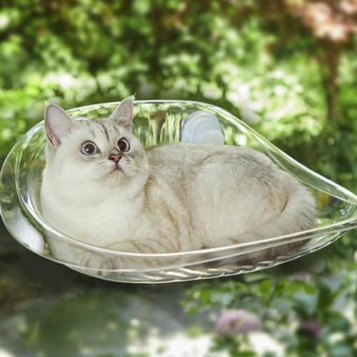 Katzen Hängematte Fensterplätze Sommer abkühlen Katzen Hängematte für Katzen 50x30cm Klappbar Katzenbett Fenster mit Stabil Saugnäpfe bis zu 10kg Rosa transparent 50x30cm