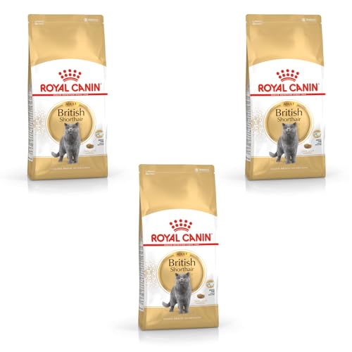 Royal Canin British Shorthair Adult 3er Pack 3 x 400 g Alleinfuttermittel für British Shorthair Katzen Speziell für Britisch Kurzhaar Katzen entwickelt Ab dem 12. Monat