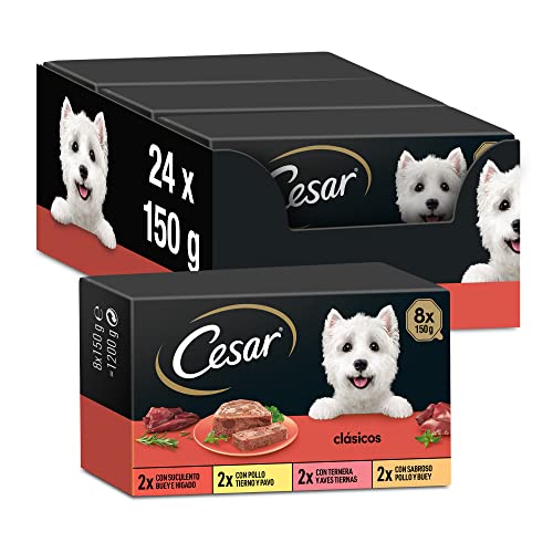 Cesar Nassfutter für Hunde Auswahl der Klassiker in Pastete Multipack 3 x 8 Becher x 150 g