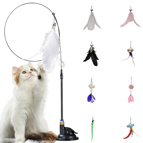 Interaktives Katzenspielzeug Angel Katzen Spielzeug mit Saugnäpfen 9pc Katzenspielzeug Selbstbeschäftigung Interaktives Spielzeug für Katzen Federspielzeug für Katzenangel Cat Toys