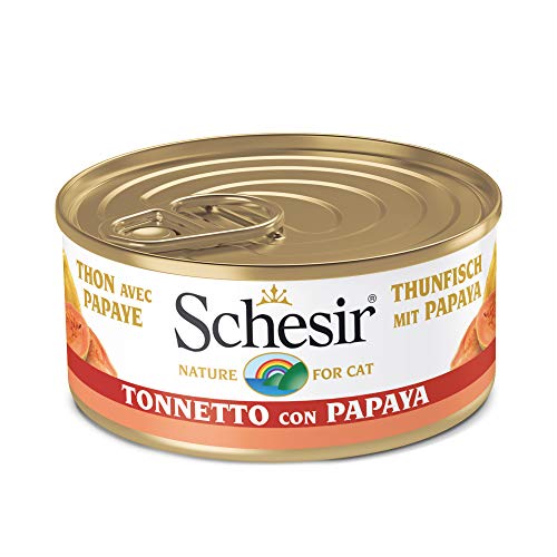  Fruit Papaya Früchten 24 Dosenx 75 g