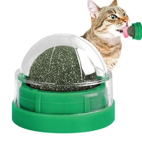 Katzenminze Bälle für Katzen Katzenminze Ball Katze Katzenminze Wand Ball Licker Katzenminze Wandbälle für Katzen Katzenbeißen Lecken Kauspielzeug Katzenminze Roller Ball Katze Leckerli Ball