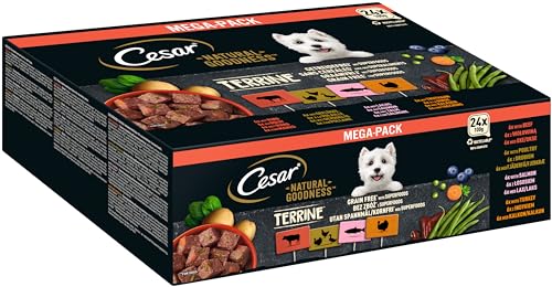 Cesar NATURAL GOODNESS Premium Hunde Nassfutter in der Schale Getreidefrei mit Superfoods in 4 Varietäten Megapack 24x100g