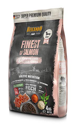  Finest Salmon 4kg kleine mittlere 1
