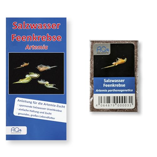 AQ4Aquaristik Salzwasser Feenkrebse - Artemia - Eier - mit Anleitung Artemia parthenogenetica