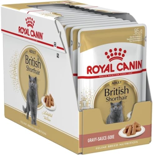 Royal Canin Adult British Shorthair Nassfutter 12 x 85 g