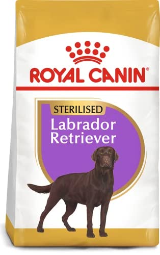 Royal Canin Hundefutter Labrador Retriever Sterilised 12 kg 1er Pack 1 x 12 kg