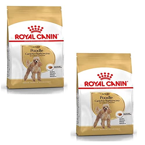 Royal Canin Poodle Adult Doppelpack 2 x 500 g Trockenfutter für ausgewachsene Poodle Zur Unterstützung des Fells und des Muskeltonus Für Hunde ab dem 10. Lebensmonat