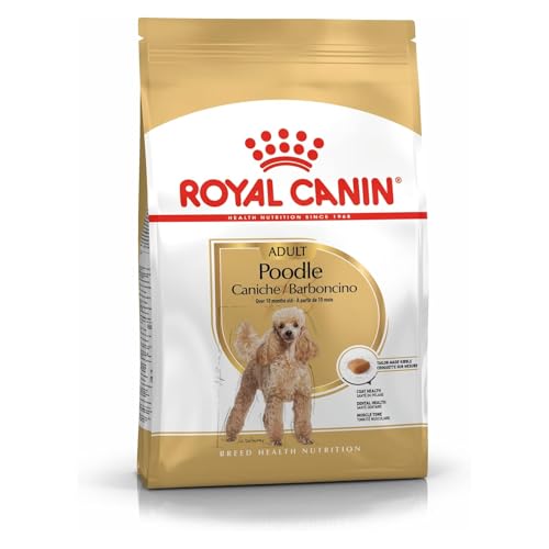 Royal Canin Poodle Adult 3 kg Trockenfutter für ausgewachsene Poodle Zur Unterstützung des Fells und des Muskeltonus Für Hunde ab dem 10. Lebensmonat