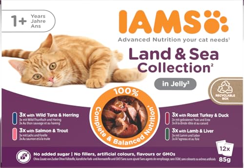 IAMS Delights Land Sea Collection Katzenfutter Nass   Multipack mit Fleisch und Fisch Sorten in Gelee Nassfutter für Katzen ab 1 Jahrx 85 g