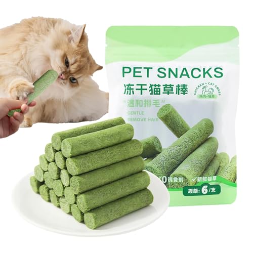 Generisch Katzengras-Stäbchen Für Hauskatzen - 6 Stück Katzengras Snack Cat Grass Teething Stick Katzengras-Beißstab Zur Förderung Der Verdauung Und Natürlichen Zahngesundheit