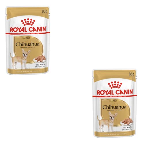 Royal Canin Chihuahua Adult Doppelpack 2 x 12 x 85 g Nassfutter für ausgewachsene Chihuahuas Zur Unterstützung der Stuhlqualität und der Zahngesundheit Hohe Akzeptanz