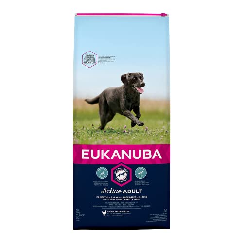 Eukanuba Hundefutter für große Hunde reich an frischem Huhn